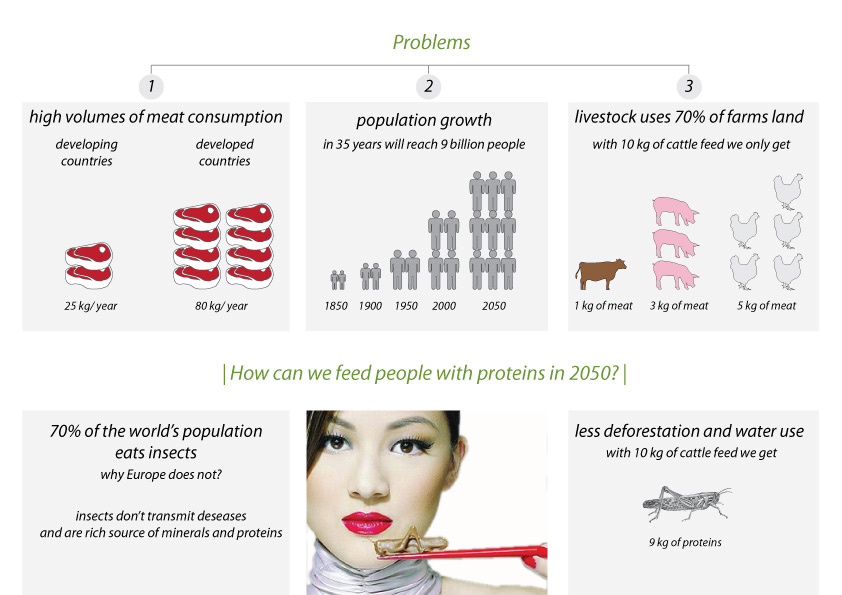 strategygoodbugs2versione