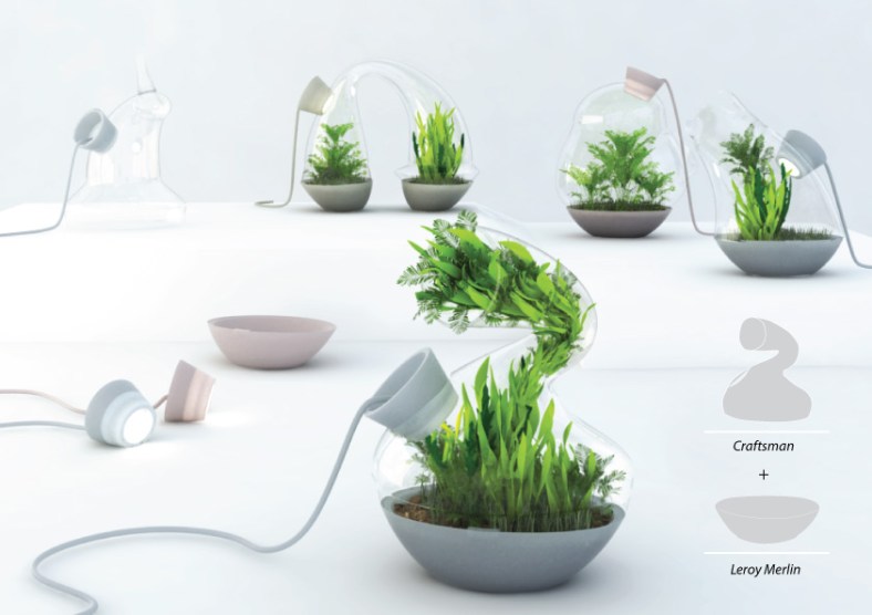 markinadesign_terrarium